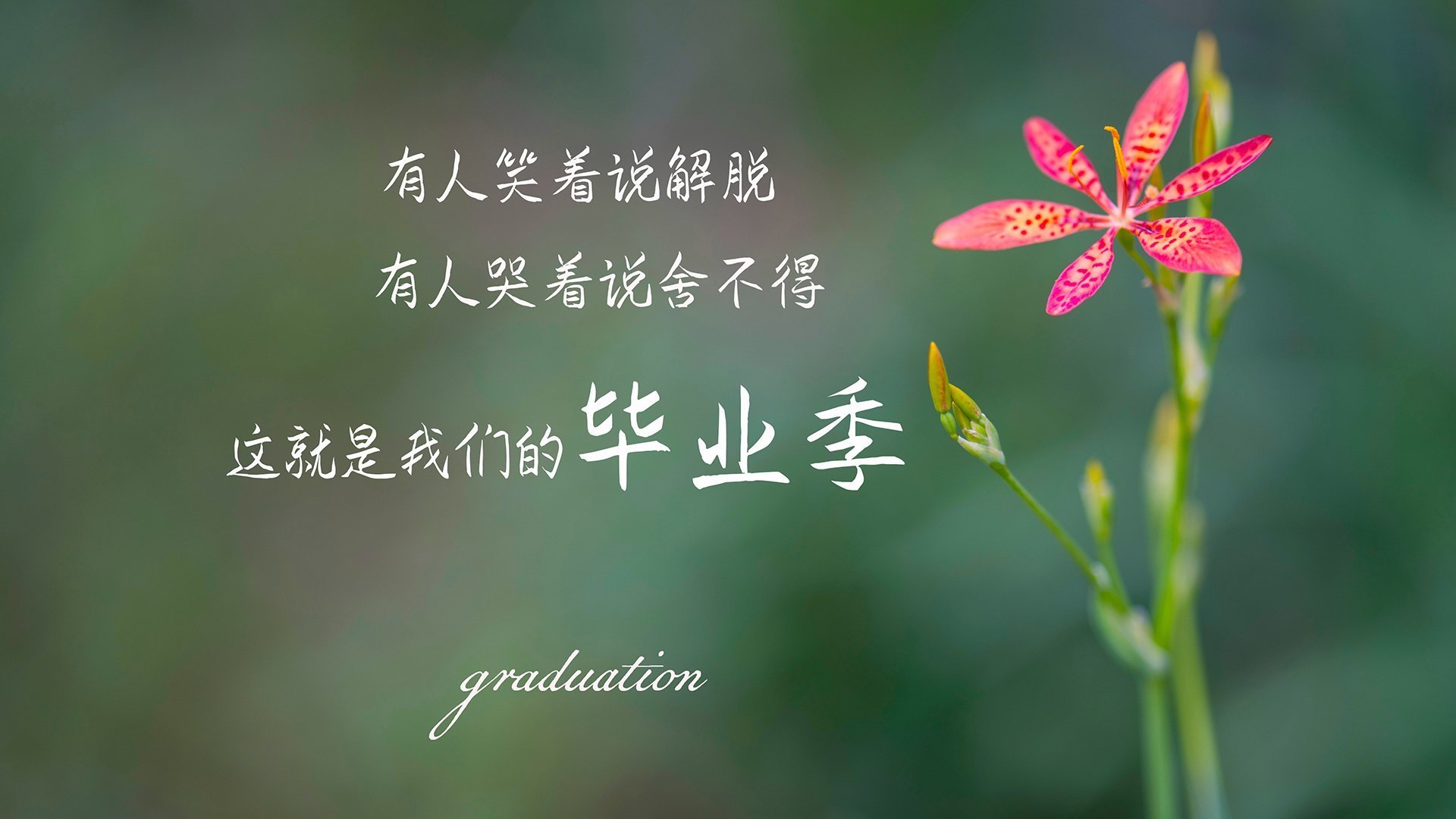 乐鱼体育-NBA常规赛东部强队鏖战四节，nba常规赛东部强队鏖战四节多少分钟