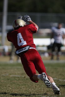 乐鱼vip-中超球队双前锋战术成效分析，双前锋组合