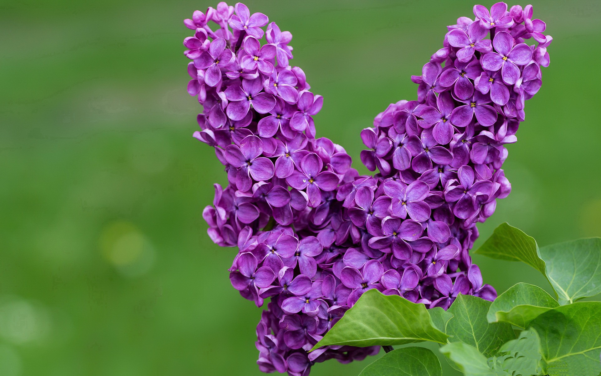 LeyuSports-国足与世界强队场面压制能力差距，国足和其他国家对比