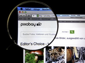 乐鱼体育APP官方下载-体育新闻中心发布体育短视频传播效果白皮书，体育短视频成为平台和用户的新宠