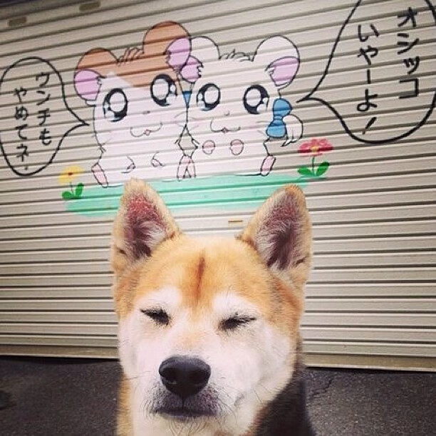 曼联中场掌控力增强减少传球失误,曼联中场掌控力增强减少传球失误的措施