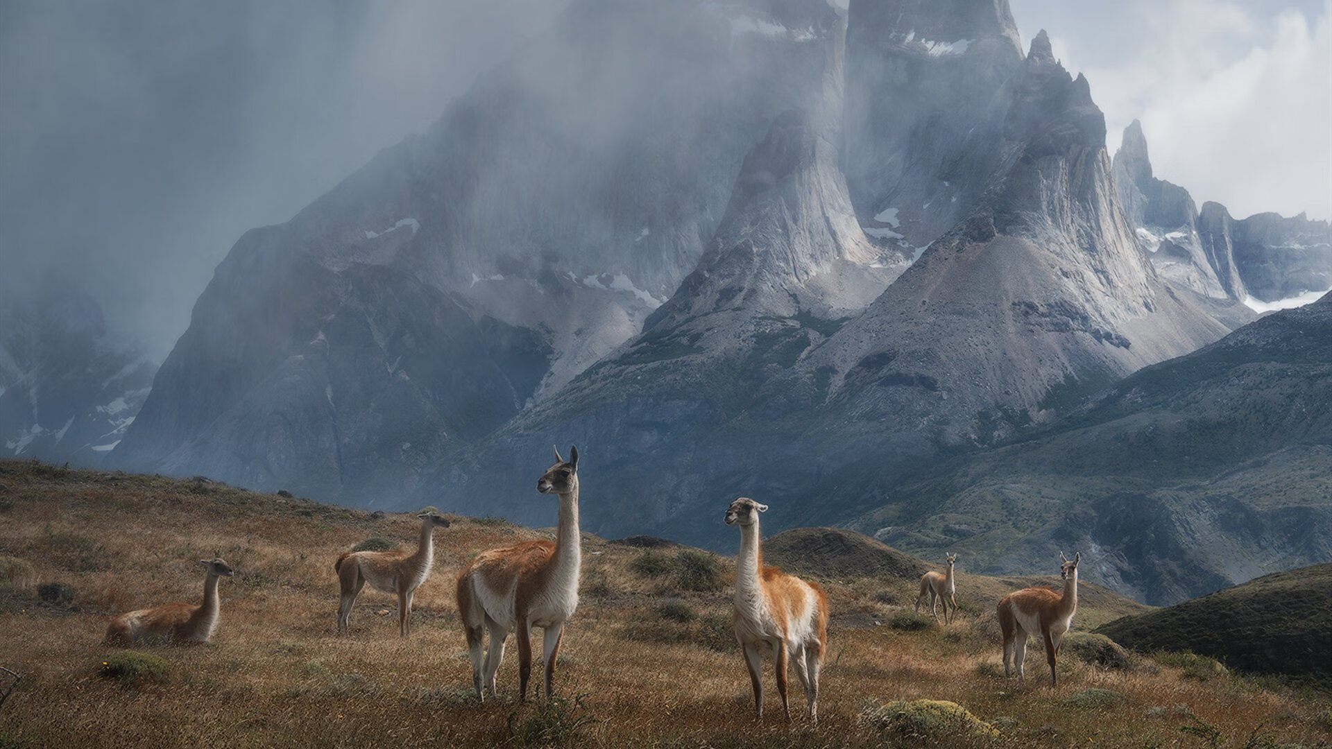 乐鱼体育App下载-英超冲刺战：悬念逐渐升温！，英超本轮集锦视频