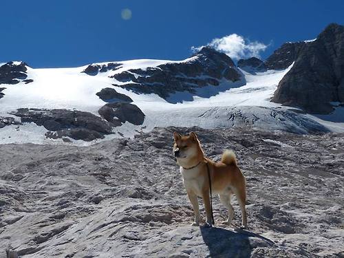 乐鱼体育平台官网-莱昂·马尔尚稳扎稳打掌控比赛节奏，莱昂内尔