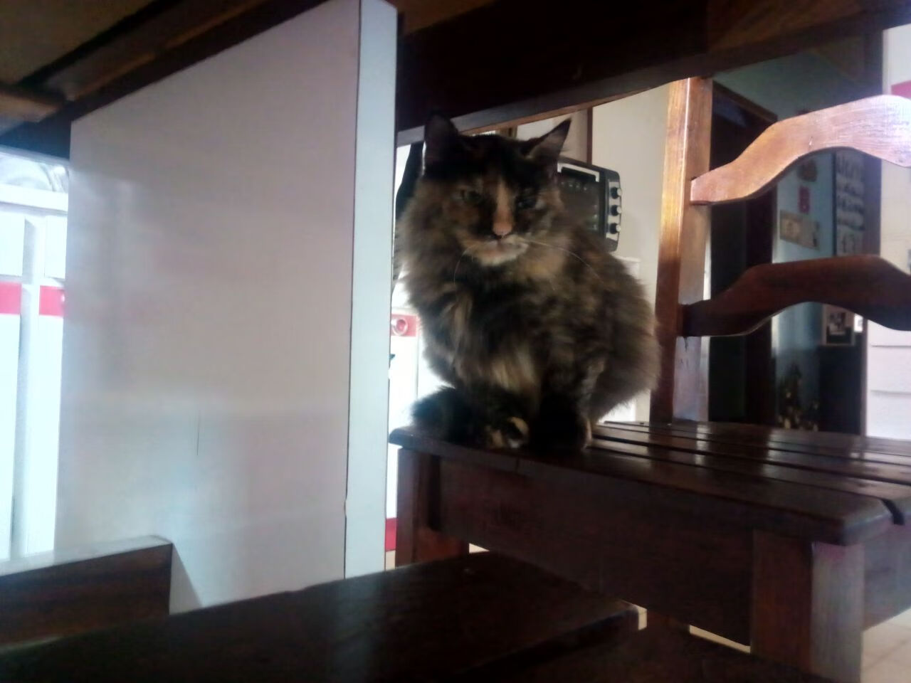 谷爱凌刷新纪录冬奥会，谷爱凌祝福北京冬奥