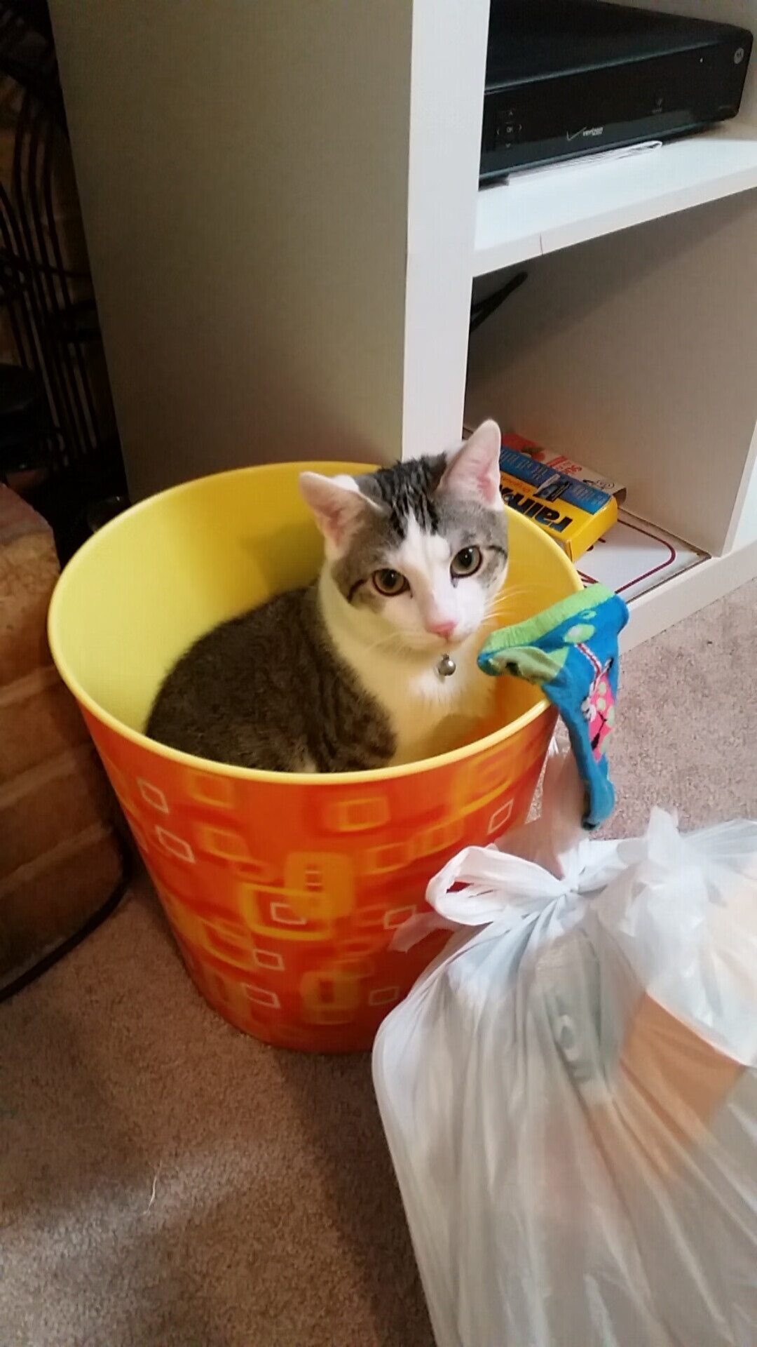 乐鱼电竞在线平台登录入口-阿根廷未来之星不断成长，国家队实力不断增强